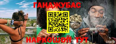 гашик Чапаевск