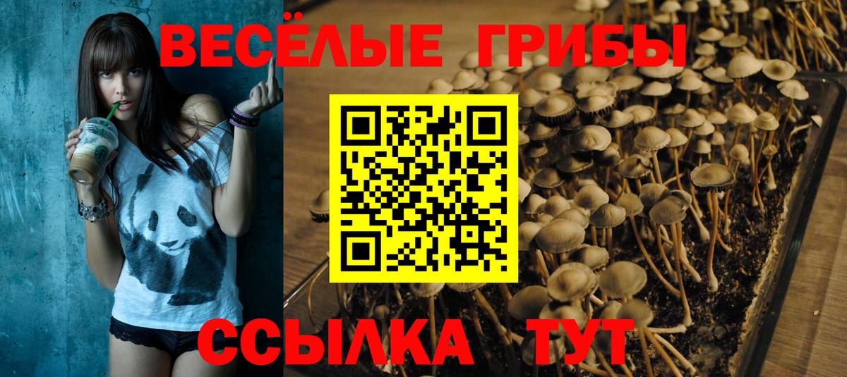 Бор  Псилоцибиновые грибы ЛСД  Псилоцибиновые грибы MAGIC MUSHROOMS  Вход с VPN 